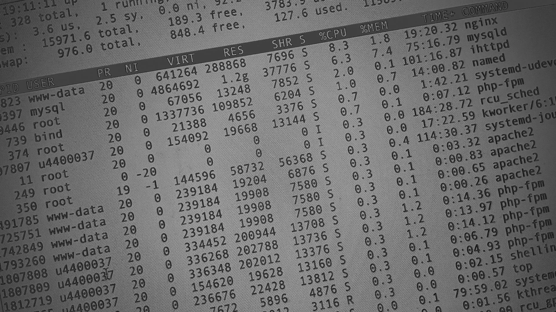 Настройка сервера в Камешково