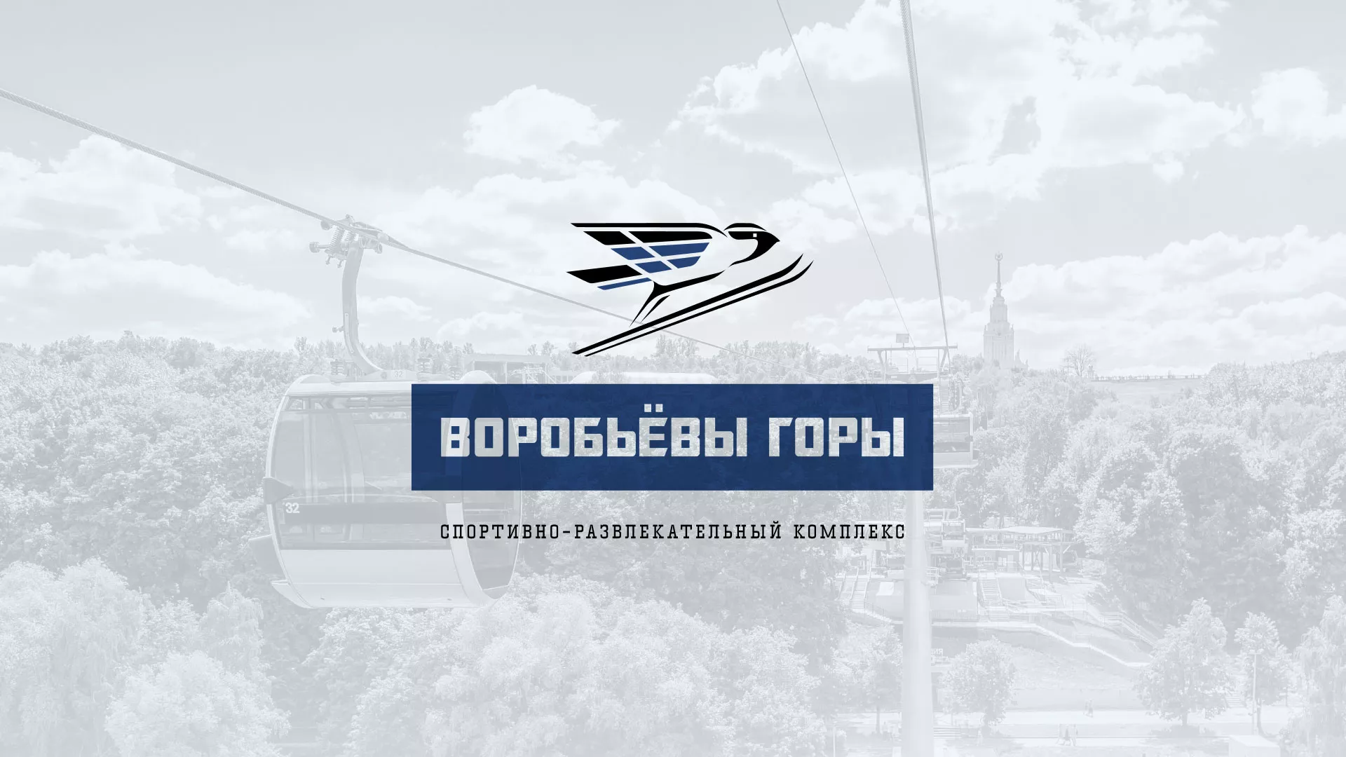 Разработка сайта в Камешково для спортивно-развлекательного комплекса «Воробьёвы горы»