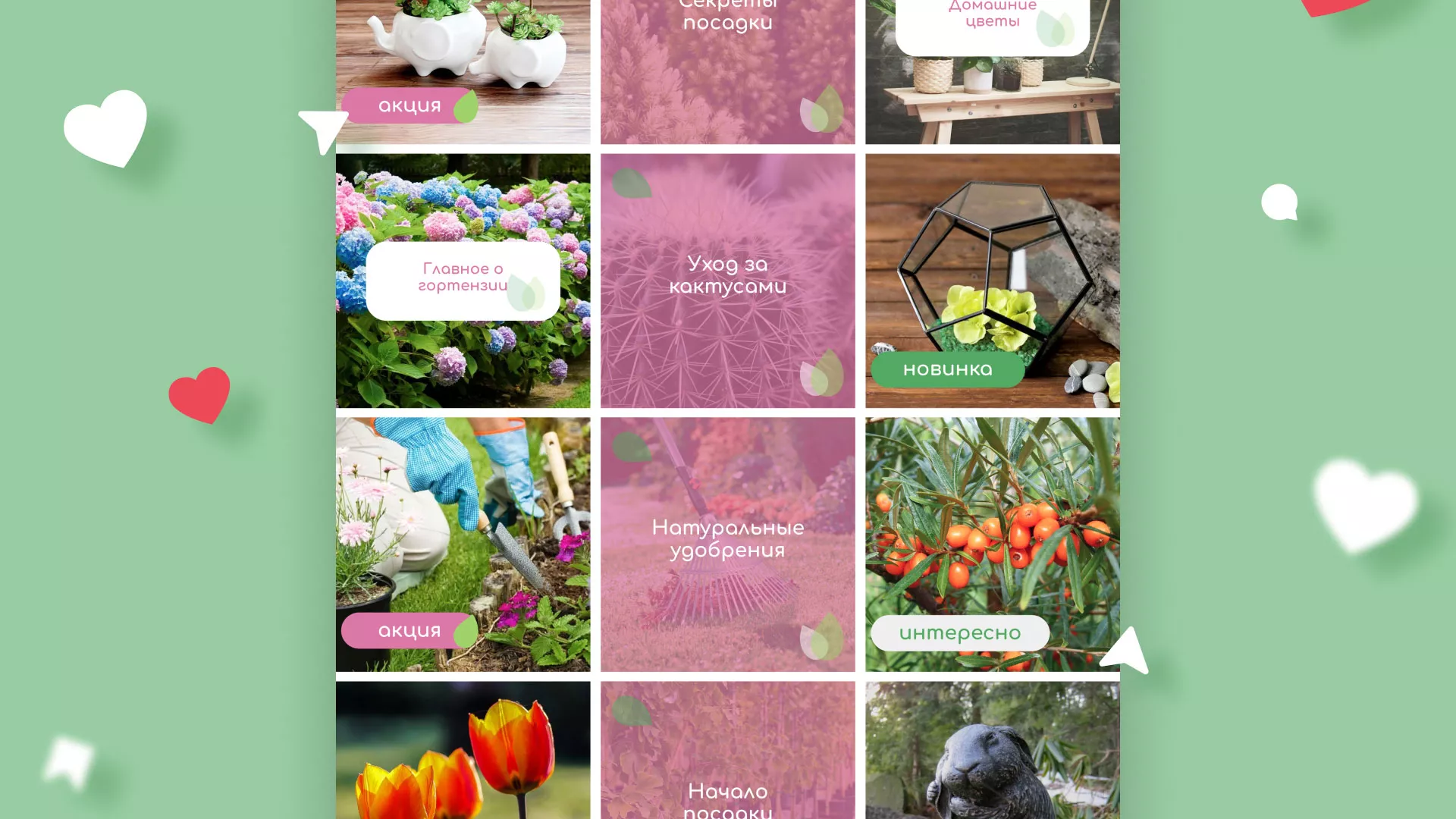 Разработка оформления профиля Instagram для магазина «Floraint» в Камешково