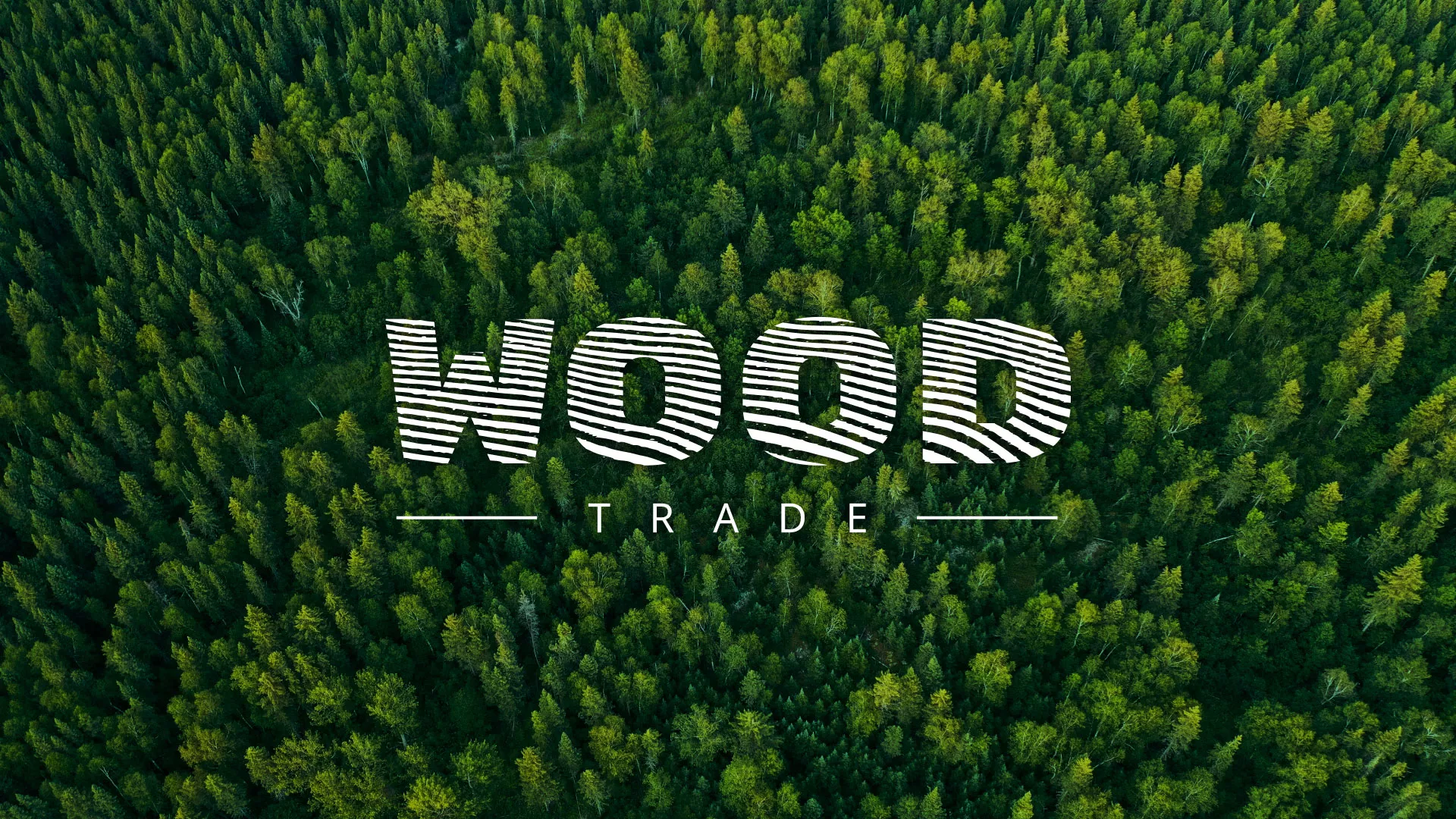 Разработка интернет-магазина компании «Wood Trade» в Камешково