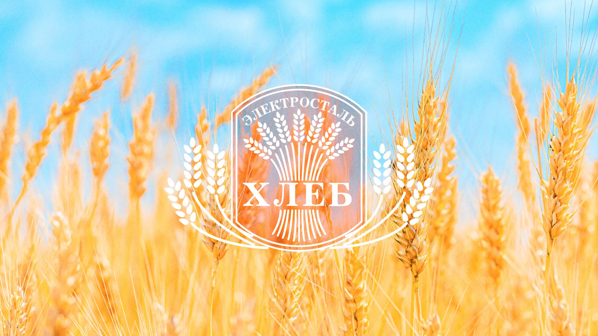 Создание сайта для хлебзавода в Камешково