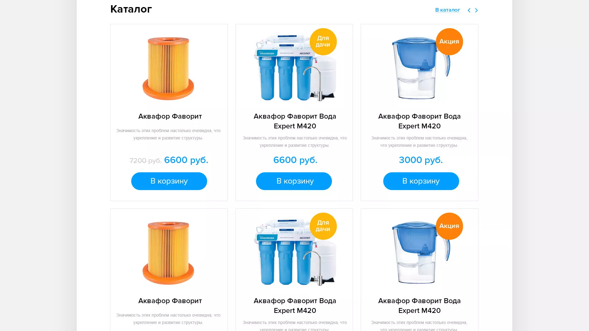 Создание интернет-магазина «Водолей» по продаже фильтров очистных сооружений в Камешково