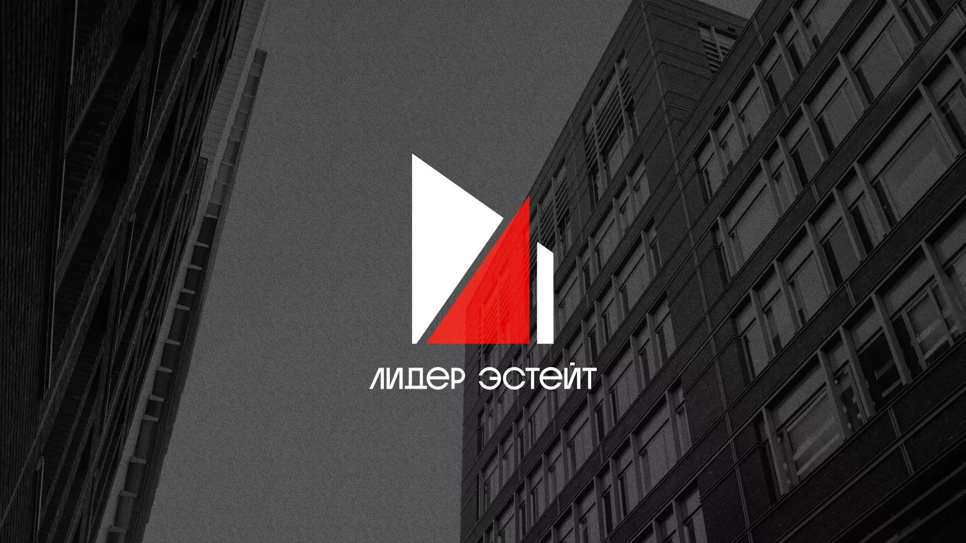 Сделали логотип для агентства недвижимости «Лидер Эстейт» в Камешково